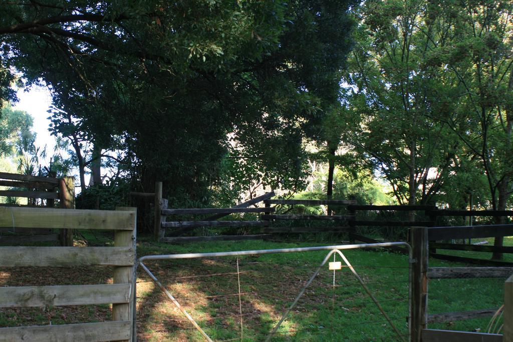 Strathmore Farm B&B Mirboo North エクステリア 写真