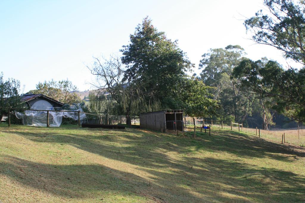 Strathmore Farm B&B Mirboo North エクステリア 写真