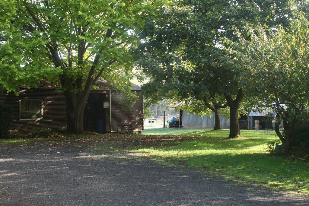 Strathmore Farm B&B Mirboo North エクステリア 写真